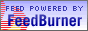 FeedBurner Logo